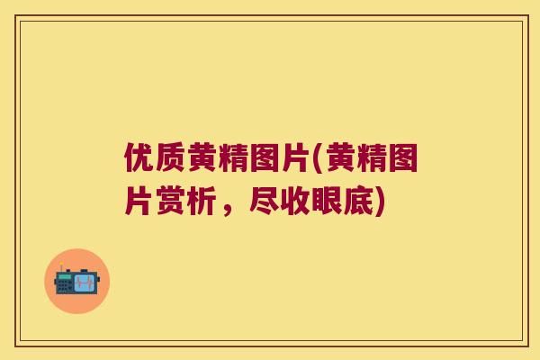 优质黄精图片(黄精图片赏析，尽收眼底)