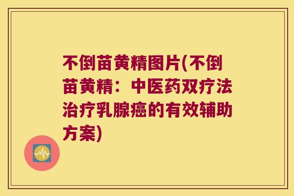 不倒苗黄精图片(不倒苗黄精:中医药双疗法乳腺的有效辅助方案) 不倒苗黄精图片(不倒苗黄精:中医药双疗法乳腺的有效辅助方案)