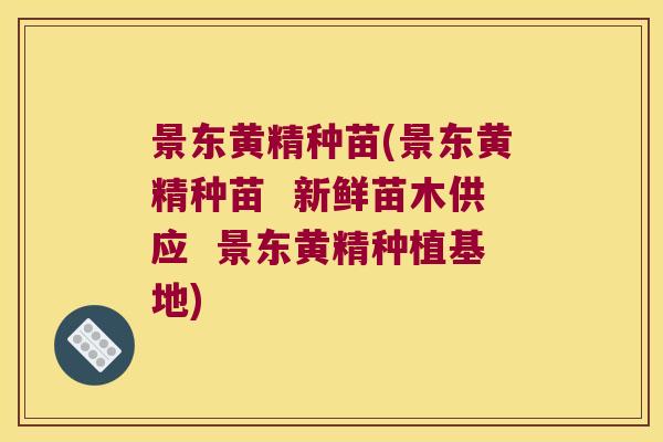 景东黄精种苗(景东黄精种苗 新鲜苗木供应 景东黄精种植基地) 景东黄精种苗(景东黄精种苗 新鲜苗木供应 景东黄精种植基地)