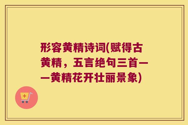 形容黄精诗词(赋得古黄精，五言绝句三首——黄精花开壮丽景象)