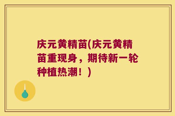 庆元黄精苗(庆元黄精苗重现身，期待新一轮种植热潮！)