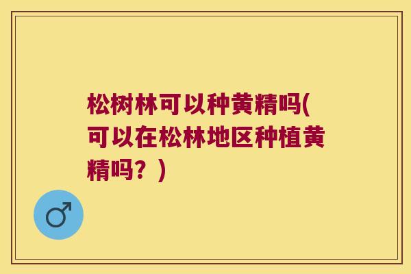 松树林可以种黄精吗(可以在松林地区种植黄精吗？)