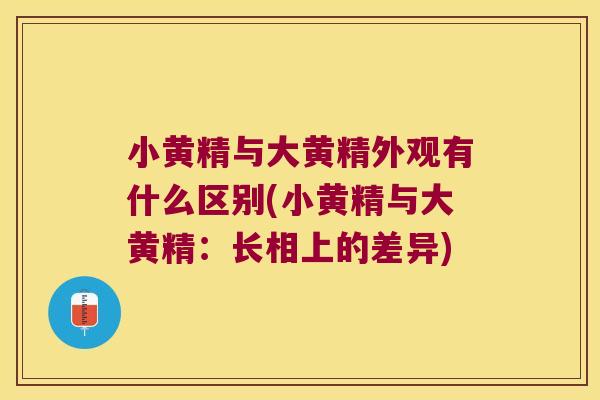 小黄精与大黄精外观有什么区别(小黄精与大黄精:长相上的差异) 小黄精与大黄精外观有什么区别(小黄精与大黄精:长相上的差异)
