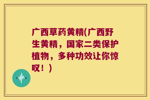 广西草药黄精(广西野生黄精，国家二类保护植物，多种功效让你惊叹！)