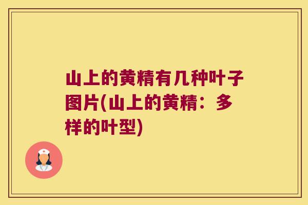 山上的黄精有几种叶子图片(山上的黄精：多样的叶型)