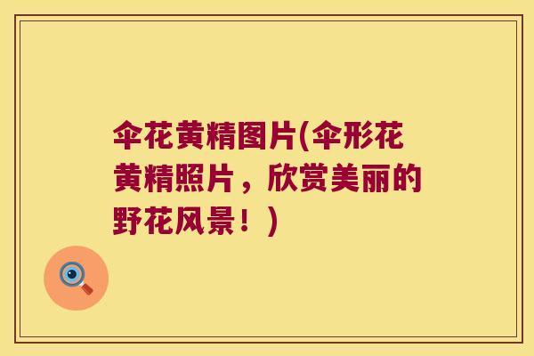 伞花黄精图片(伞形花黄精照片,欣赏美丽的野花风景!) 伞花黄精图片(伞形花黄精照片,欣赏美丽的野花风景!)