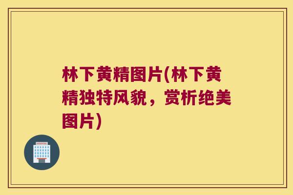 林下黄精图片(林下黄精独特风貌,赏析绝美图片) 林下黄精图片(林下黄精独特风貌,赏析绝美图片)