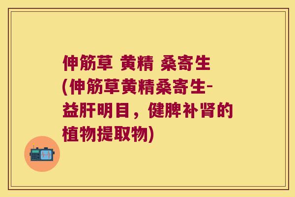 伸筋草 黄精 桑寄生(伸筋草黄精桑寄生-益明目,健脾补的植物提取物) 伸筋草 黄精 桑寄生(伸筋草黄精桑寄生-益明目,健脾补的植物提取物)