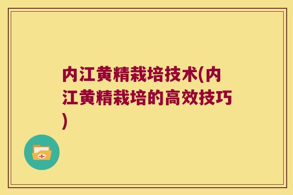内江黄精栽培技术(内江黄精栽培的高效技巧)
