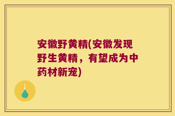 安徽野黄精(安徽发现野生黄精，有望成为材新宠)