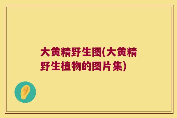 大黄精野生图(大黄精野生植物的图片集) 大黄精野生图(大黄精野生植物的图片集)