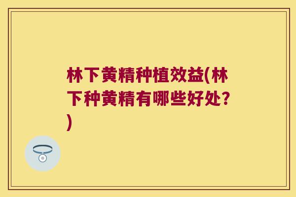 林下黄精种植效益(林下种黄精有哪些好处?) 林下黄精种植效益(林下种黄精有哪些好处?)