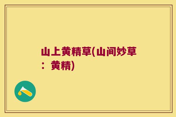 山上黄精草(山间妙草：黄精)