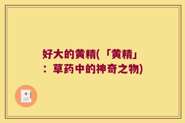 好大的黄精(「黄精」:草药中的神奇之物) 好大的黄精(「黄精」:草药中的神奇之物)