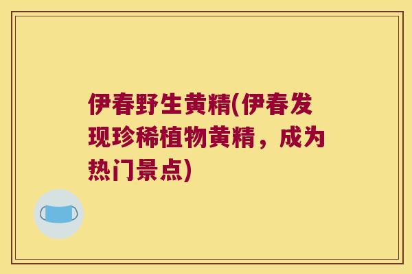 伊春野生黄精(伊春发现珍稀植物黄精，成为热门景点)