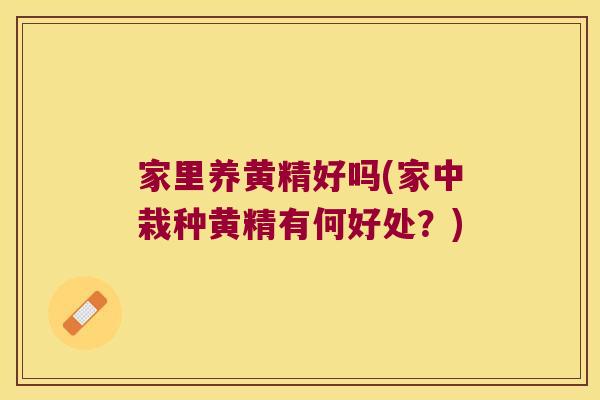 家里养黄精好吗(家中栽种黄精有何好处？)