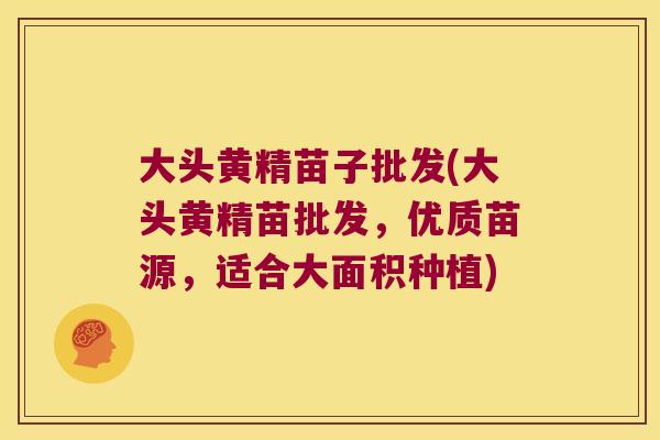 大头黄精苗子批发(大头黄精苗批发,优质苗源,适合大面积种植) 大头黄精苗子批发(大头黄精苗批发,优质苗源,适合大面积种植)