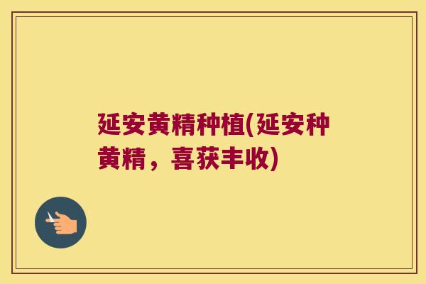 延安黄精种植(延安种黄精,喜获丰收) 延安黄精种植(延安种黄精,喜获丰收)