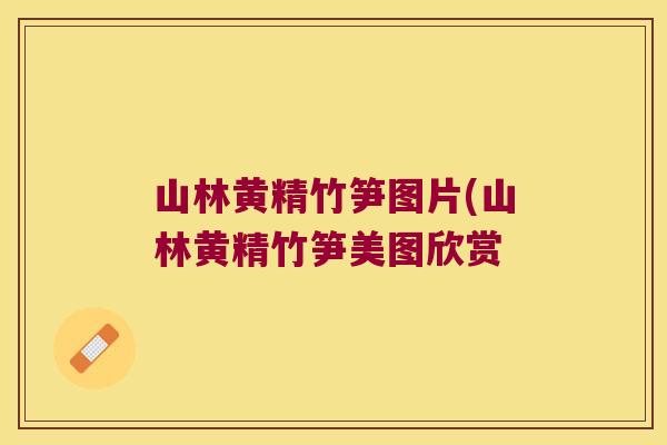山林黄精竹笋图片(山林黄精竹笋美图欣赏