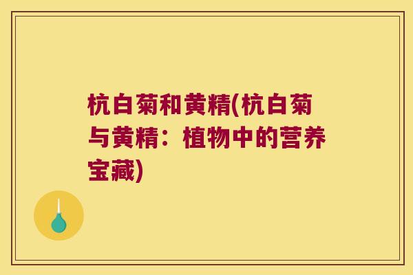 杭白菊和黄精(杭白菊与黄精:植物中的营养宝藏) 杭白菊和黄精(杭白菊与黄精:植物中的营养宝藏)