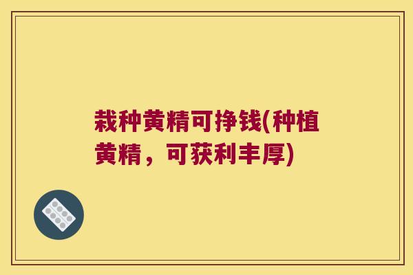 栽种黄精可挣钱(种植黄精,可获利丰厚) 栽种黄精可挣钱(种植黄精,可获利丰厚)