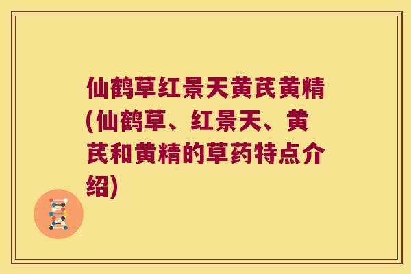 仙鹤草红景天黄芪黄精(仙鹤草、红景天、黄芪和黄精的草药特点介绍) 仙鹤草红景天黄芪黄精(仙鹤草、红景天、黄芪和黄精的草药特点介绍)