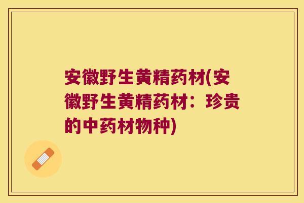 安徽野生黄精药材(安徽野生黄精药材:珍贵的材物种) 安徽野生黄精药材(安徽野生黄精药材:珍贵的材物种)