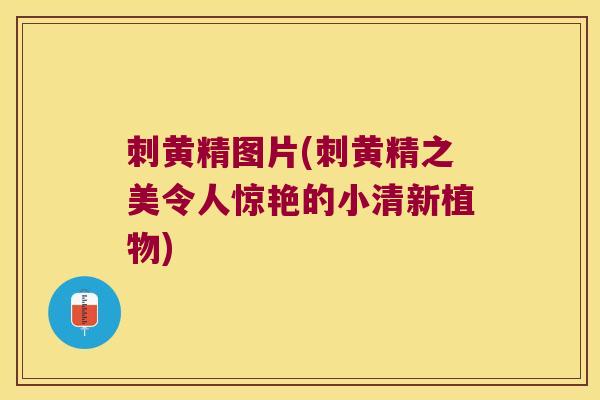 刺黄精图片(刺黄精之美令人惊艳的小清新植物)