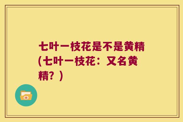 七叶一枝花是不是黄精(七叶一枝花:又名黄精?) 七叶一枝花是不是黄精(七叶一枝花:又名黄精?)