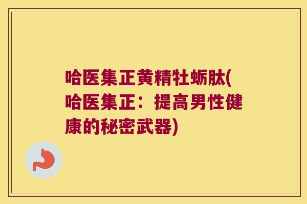 哈医集正黄精牡蛎肽(哈医集正：提高男性健康的秘密武器)