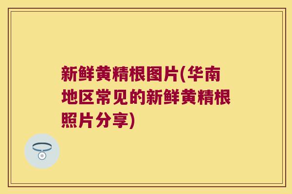 新鲜黄精根图片(华南地区常见的新鲜黄精根照片分享)