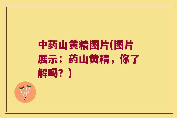 山黄精图片(图片展示：药山黄精，你了解吗？)