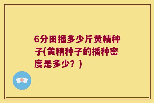 6分田播多少斤黄精种子(黄精种子的播种密度是多少？)