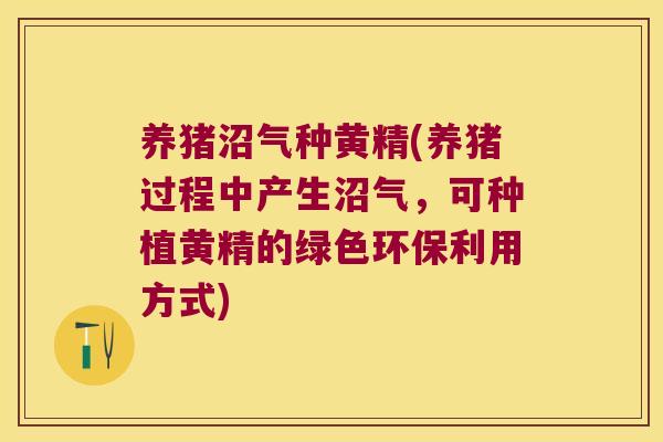 养猪沼气种黄精(养猪过程中产生沼气,可种植黄精的绿色环保利用方式) 养猪沼气种黄精(养猪过程中产生沼气,可种植黄精的绿色环保利用方式)