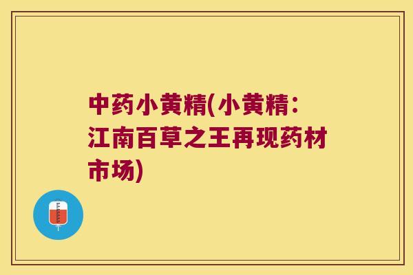 小黄精(小黄精:江南百草之王再现药材市场) 小黄精(小黄精:江南百草之王再现药材市场)