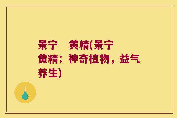 景宁   黄精(景宁黄精：神奇植物，益气养生)