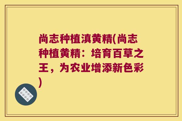 尚志种植滇黄精(尚志种植黄精:培育百草之王,为农业增添新色彩) 尚志种植滇黄精(尚志种植黄精:培育百草之王,为农业增添新色彩)
