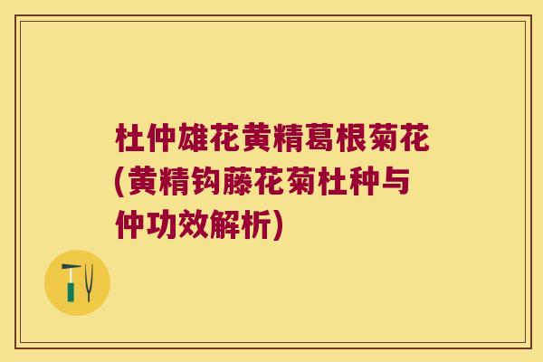 杜仲雄花黄精葛根菊花(黄精钩藤花菊杜种与仲功效解析)