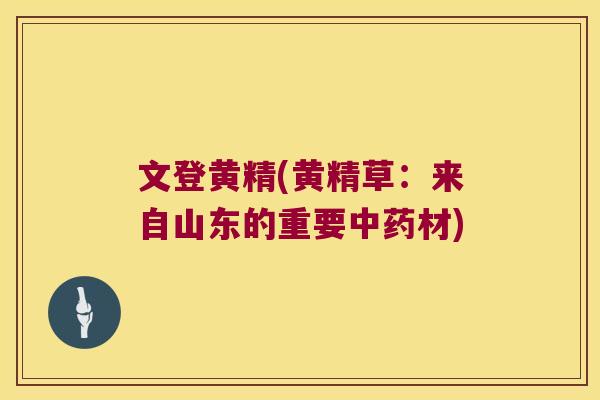 文登黄精(黄精草：来自山东的重要材)