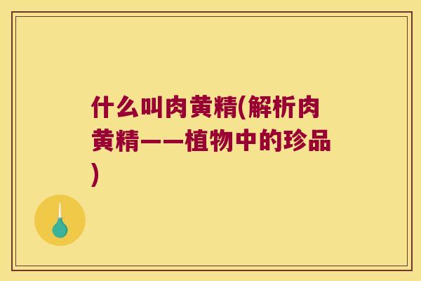 什么叫肉黄精(解析肉黄精——植物中的珍品) 什么叫肉黄精(解析肉黄精——植物中的珍品)