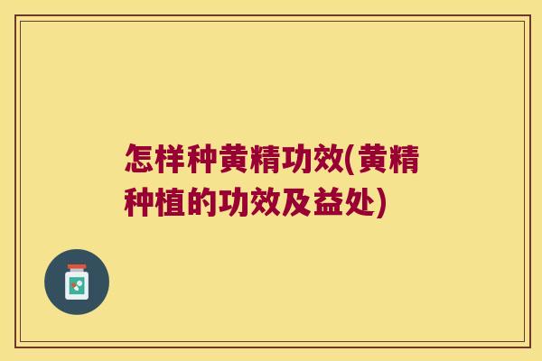 怎样种黄精功效(黄精种植的功效及益处) 怎样种黄精功效(黄精种植的功效及益处)