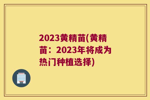 2023黄精苗(黄精苗:2023年将成为热门种植选择) 2023黄精苗(黄精苗:2023年将成为热门种植选择)