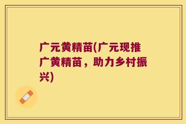 广元黄精苗(广元现推广黄精苗,助力乡村振兴) 广元黄精苗(广元现推广黄精苗,助力乡村振兴)