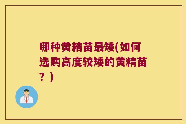 哪种黄精苗矮(如何选购高度较矮的黄精苗？)