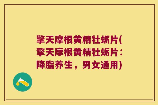 擎天摩根黄精牡蛎片(擎天摩根黄精牡蛎片：养生，男女通用)