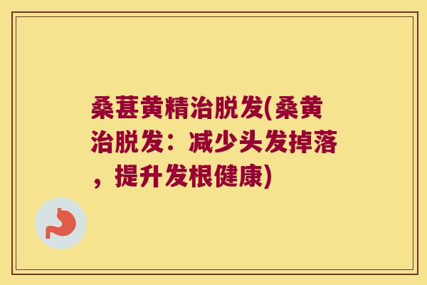 桑葚黄精(桑黄：减少头发掉落，提升发根健康)