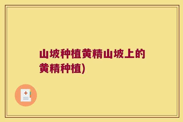 山坡种植黄精山坡上的黄精种植)