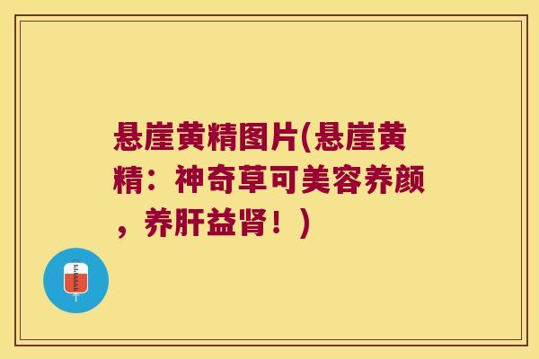 悬崖黄精图片(悬崖黄精：神奇草可美容养颜，养益！)