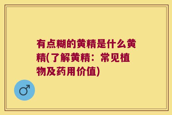 有点糊的黄精是什么黄精(了解黄精：常见植物及药用价值)