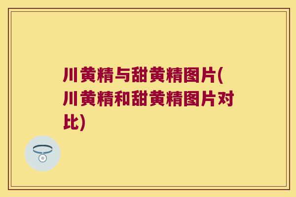 川黄精与甜黄精图片(川黄精和甜黄精图片对比)